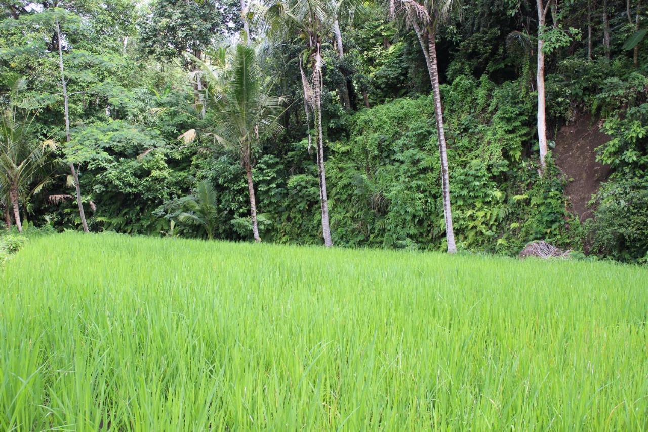 Pondok Tepi Sungai Sidemen  Exterior foto